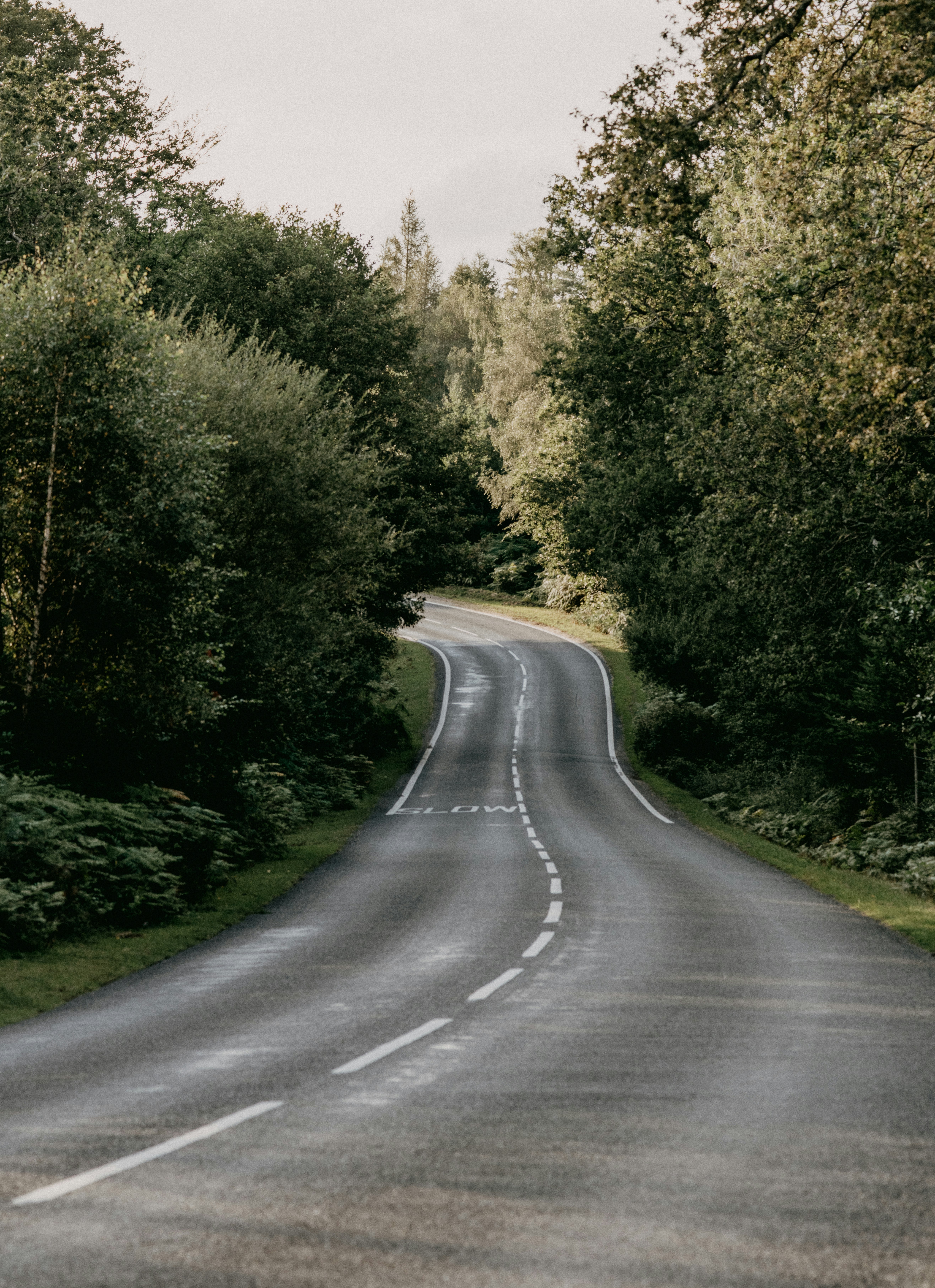 gray concrete road between green trees during daytime